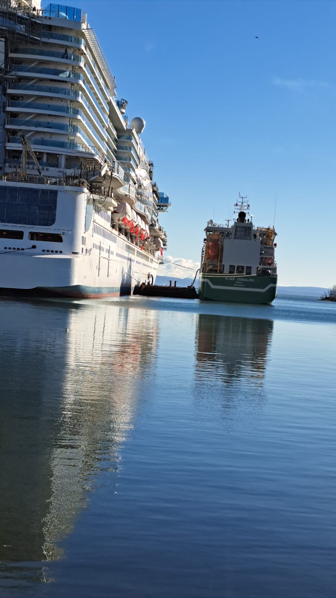 Cruise Ship Consulting Image