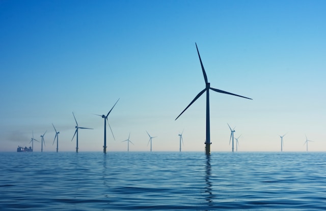 Environmental Sustainability Image